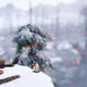 Ghost of Tsushima